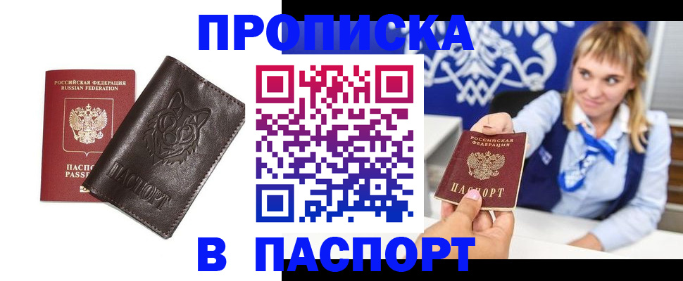 где прописаться в Кингисеппе